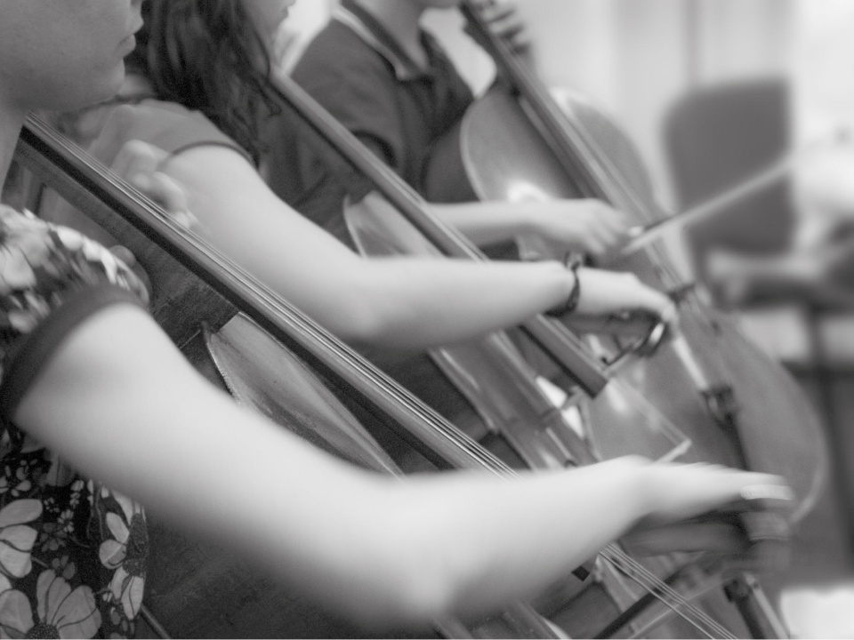 Ciclo de Conciertos DAMuseos - Ensamble de Violoncellos